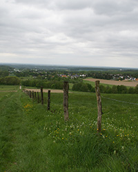 HenryHicks